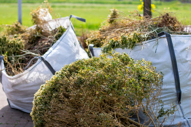 Best Furniture Removal Near Me  in Bridgetown, MS